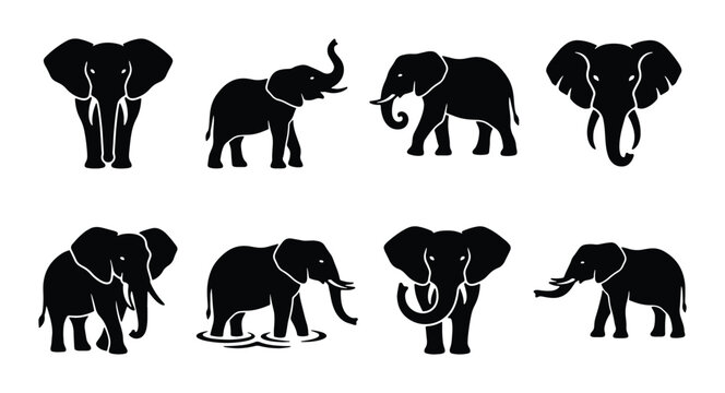 Elephant silhouette vector set, black african elephant icons in various poses, 8 wild animal silhouettes for logo design and nature branding