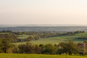Obraz premium Scenic view of Kirchheim with its historic old town, church and town hall at sunrise in spring. meadows in the Albvorland, looking towards the Schurwald. Kirchheim unter Teck, Germany.