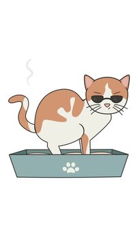 cute cartoon character cat with sunglasses poop in the litterbox funny animation 	
