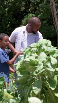 Father handing pale green watering can and guiding son, watering raised beds, teaching garden care