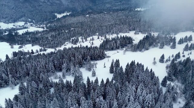 Aerial View of Snowy Winter Forest with Light Fog