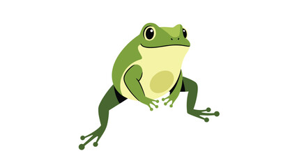 Fototapeta premium Bright green frog with a yellow belly and large black eyes jumping or sitting in a dynamic pose on a white background.