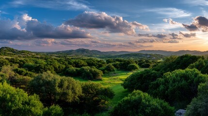 Fototapeta premium Golden rays illuminate the verdant hills as the sun sets on a peaceful evening. Clouds dance across the sky above a vibrant green valley, creating a serene and picturesque view.