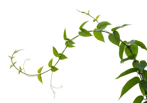 A detailed map showing the flight path of an airplane over europe