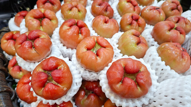 Fresh red rose apples wax apples wrapped in white protective foam netting sleeves for sale in a tropical fruit market or supermarket display
