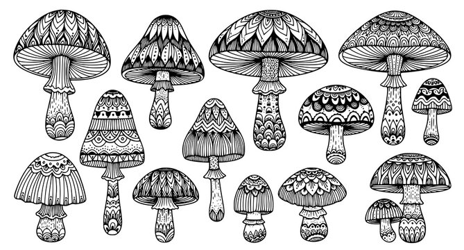Intricate black and white mushroom pattern a detailed zen doodle illustration