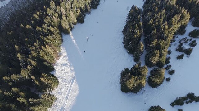 Aerial Bird's Eye View of Snowy Ski Piste and Pine Forest