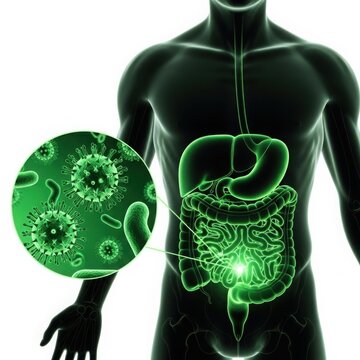 Illustration of the human digestive system with bacteria and viruses