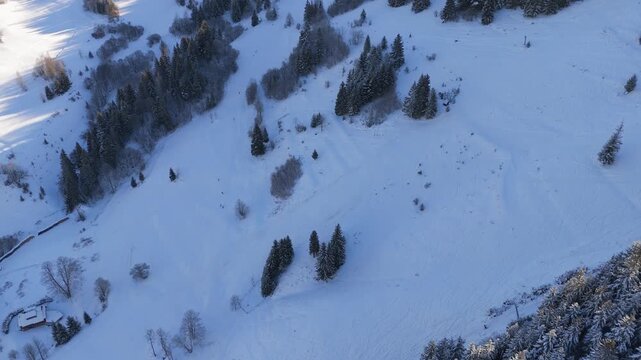 High Altitude Aerial View of Skiers on a Snowy Mountain Slope