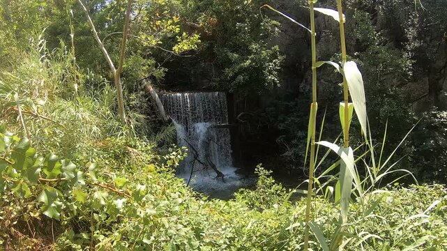 Serene Waterfall and Rocky Pool in Lush Green Fiumefreddo Bruzio