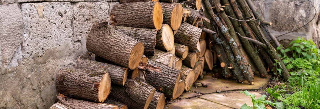 Winter Firewood from Forest Logging Activity