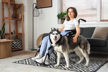 Young woman in wheelchair and with husky dog at home © Pixel-Shot