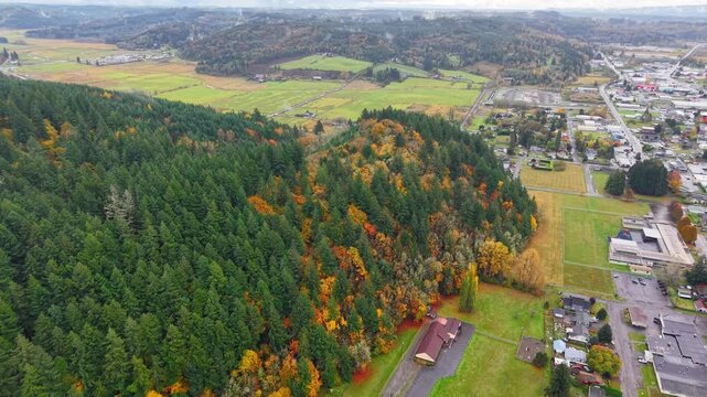 Forest changing color in Fall next to small town in Valley