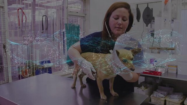 Vet tech placing dog on exam table for medical check, listening with stethoscope and adjusting cone