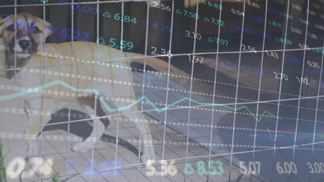 Dog scanning wire cage, shifting head, moving toward cushion to rest, with finance grid overlaying