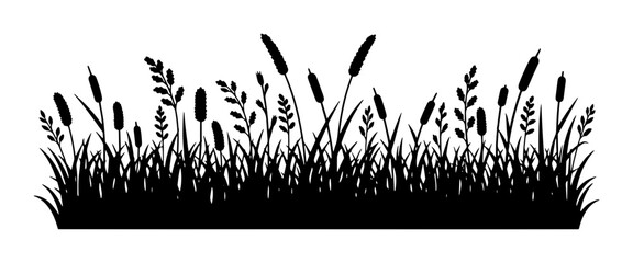 Black grass silhouette border with cattails and wild meadow plants, botanical reed and marsh vegetation vector, horizontal nature landscape element © Mitu