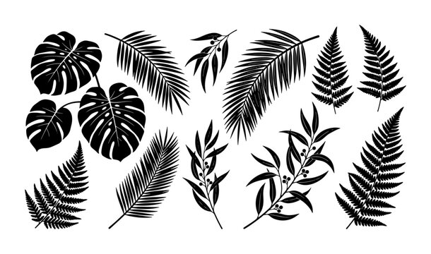 Tropical leaf silhouettes collection, black palm and monstera foliage vector set, exotic fern and botanical branch elements for summer design