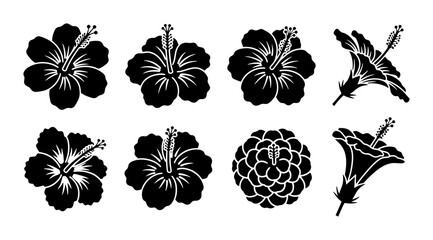 Tropical hibiscus flower silhouettes, set of 8 black floral vector icons, exotic botanical blossom stencils for summer vacation branding and tattoo design © Reaz