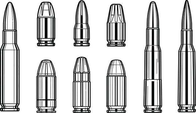 A collection of firearm ammunition detailed illustration of various cartridges and bullets