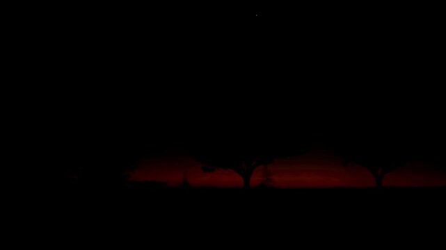 Timelapse of glorious orange sunset with trees as the light disappears
