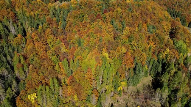 Beautiful fall season mountain wilderness from above