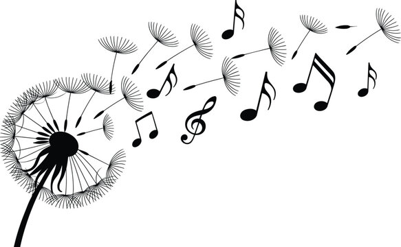 Dandelion silhouette flower with flying seeds turning into musical notes blowing in wind isolated on white background vector