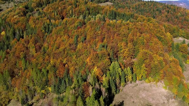 aerial view of colorful autumn forest in the mountains