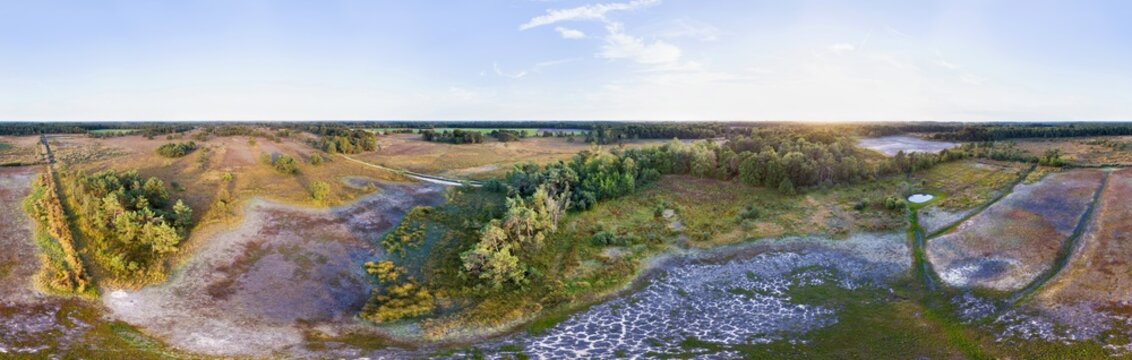 Aerial view of totally dried out lakes Steenhaarplassen during the extremely dry summer of 2018 with forest and heather fields, in 360 degrees panorama, Buurserzand, Overijssel, Netherlands.