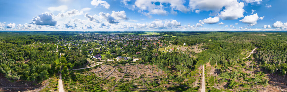 Aerial view of forest, heavily damaged by a downdraft storm, with newly planted trees and fallen tree trunks collected in rows, in 360 degrees panorama, Lombokbos and Breeveen, Utrecht, Netherlands.