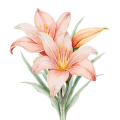 Fototapeta premium Pink lilies bouquet watercolor floral arrangement