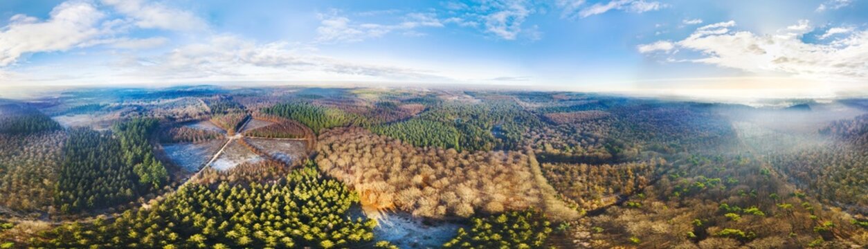 Aerial view of the Utrechtse Heuvelrug national park showing deciduous and coniferous forests with frost on the ground, in 360 degrees panorama, nature reserve Amerongse Berg, Utrecht, Netherlands.