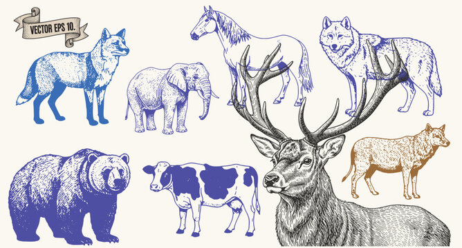 Group of Wild Animals and Deer Head Illustration on Light Beige Background