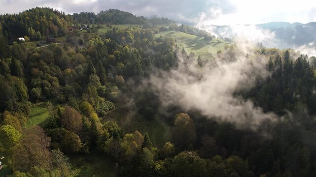 Aerial drone shot of misty mountain forest landscape at dawn