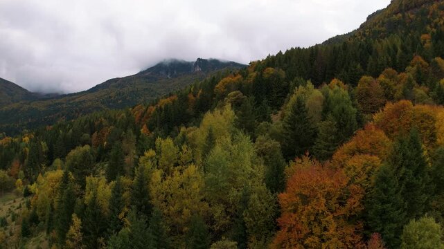 Aerial view of colorful autumn mountains under cloudy sky