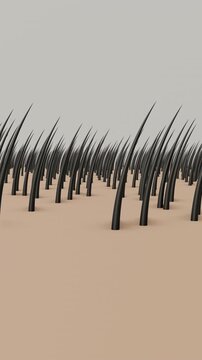 Hair growth animation nutrition and treatment for growth. Full HD. 4K 