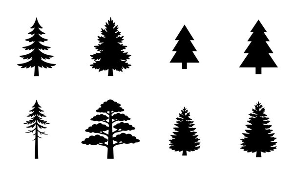 Pine tree silhouettes set, 8 evergreen forest tree icons, black coniferous fir and spruce vector elements, minimalist nature symbols for outdoor branding
