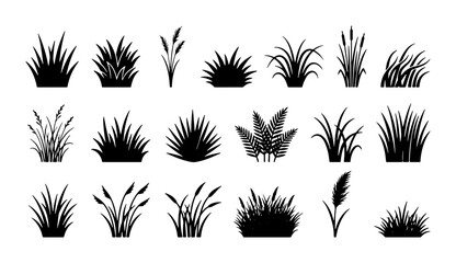 Black grass silhouette collection, 20 botanical meadow plant icons, wild reed and swamp vegetation vector set, minimalist garden foliage elements © Mahin