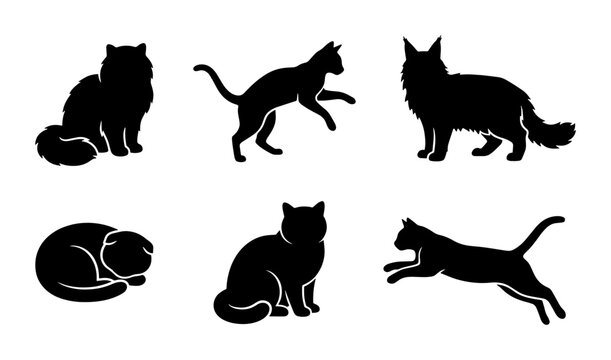 Black cat silhouettes set, collection of 6 feline vector icons in various poses, domestic pet animal shapes for logo design and pet shop branding