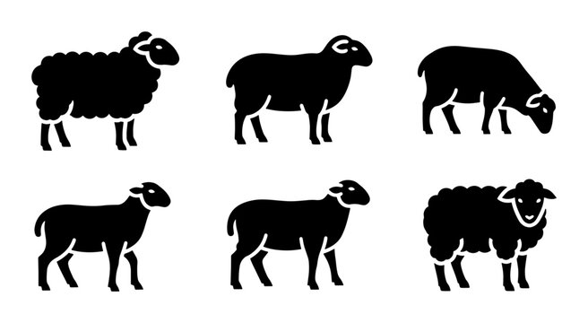 Minimalist sheep silhouette icons, set of 6 black farm animal vector graphics, woolly ram and ewe livestock symbols for agricultural branding