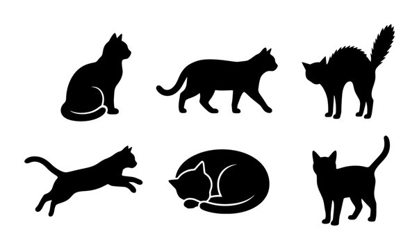 Black cat silhouette collection, set of 6 feline vector icons in various poses, minimalist domestic cat shapes for pet branding and animal logos