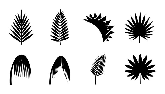 Tropical palm leaf silhouettes, set of 8 black botanical vector icons, minimalist exotic foliage elements for summer branding and logo design