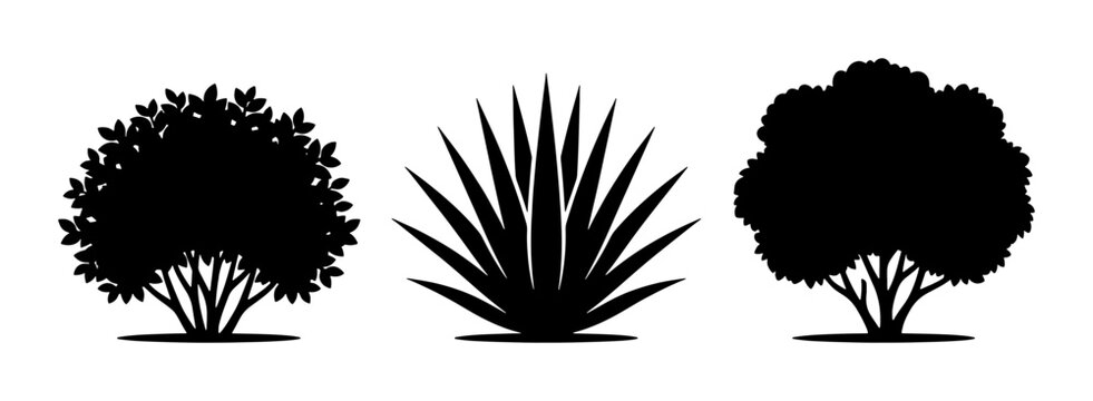 Black bush silhouette set, garden shrub and desert agave plant icons, 3 nature landscape elements for architectural visualization and garden design