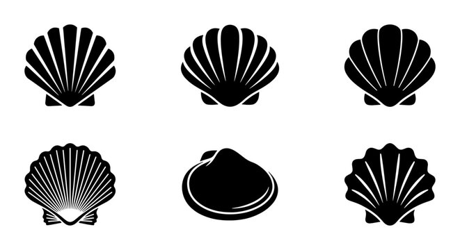 Minimalist seashell icon set, black scallop shell silhouettes, collection of 6 nautical sea shell vector graphics for beach branding and summer logos