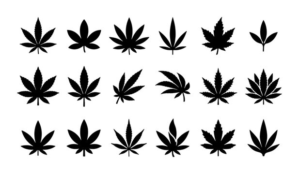 Cannabis leaf silhouettes collection, 18 black marijuana leaf icons, medicinal hemp foliage vector set, botanical weed plant symbols for dispensary branding