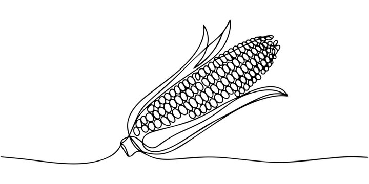 corn cob continuous one line drawing, Continuous one line drawing. Vegetables two corn. Vector illustration, Maize ear in continuous line art style. Single line drawing illustration of vegetarian food