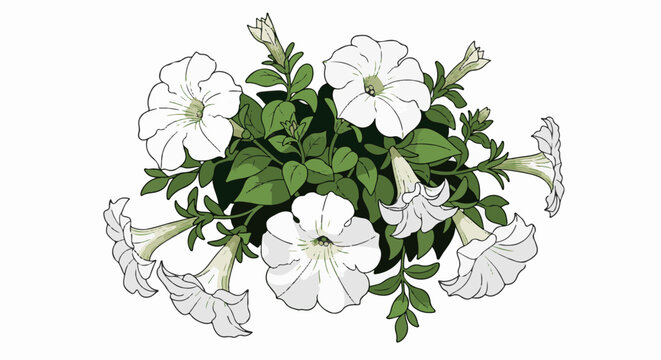 White petunias cascade with green leaves, a vibrant floral illustration