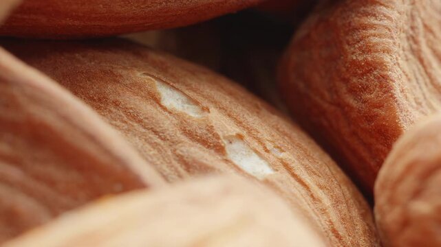 Almond nuts rotating slowly extreme macro close up stock footage