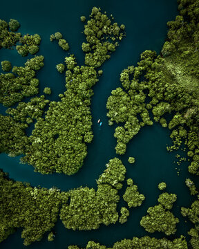 Aerial view of the lush green mangrove forest embracing the dark blue waters with two tiny figures kayaking peacefully, Siargao, Surigao del Norte, Philippines.