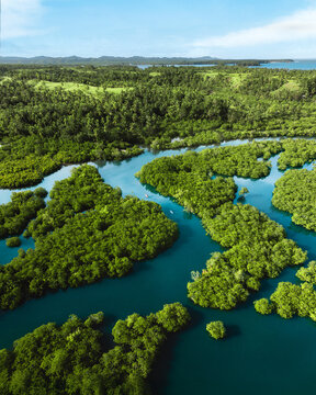 Aerial view of the vibrant green mangroves contrasting with the teal waters weaving through the landscape, Siargao, Surigao del Norte, Philippines.