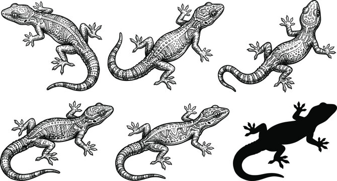 Gecko Lizard Engraved Illustration Set with Detailed Reptile Line Art, Vintage Etching Style, and Silhouette Vector Collection Design